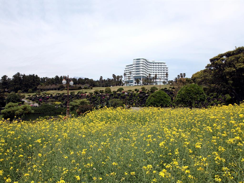 Seogwipo Kal Hotel Buitenkant foto View of the hotel from the park