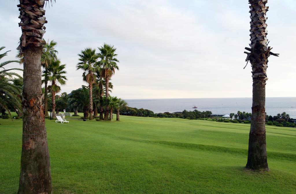 Seogwipo Kal Hotel Buitenkant foto Golf course in Okinawa