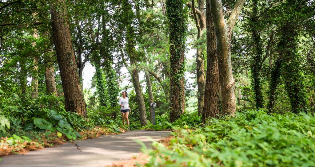 Seogwipo Kal Hotel Buitenkant foto A trail in the park